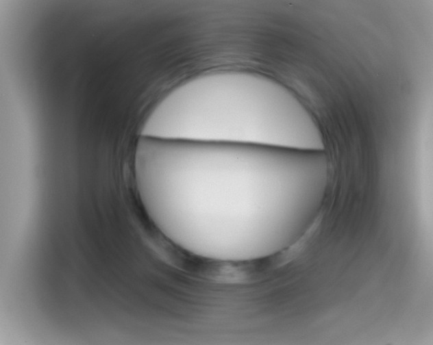 X0000114440166200910161059
