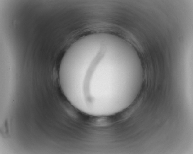 X0000114440173200910161059
