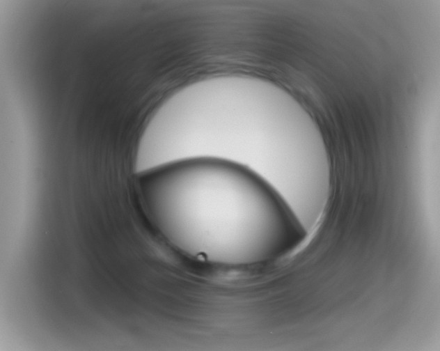 X0000114440174200910161059