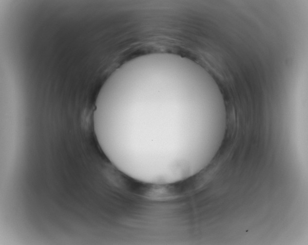 X0000114440177200910161059