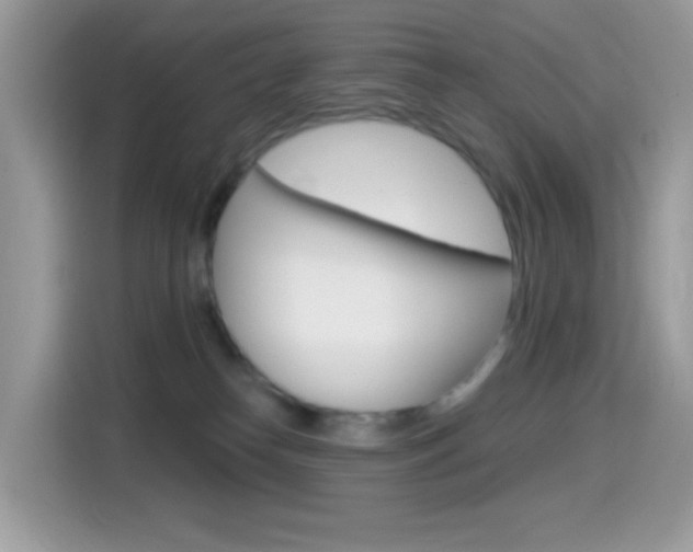 X0000114440182200910161059