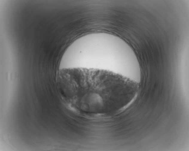 X0000114440183200910161059
