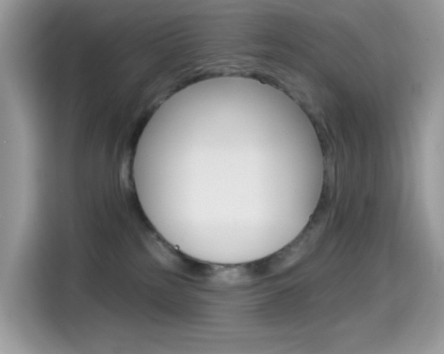 X0000114440185200910161059