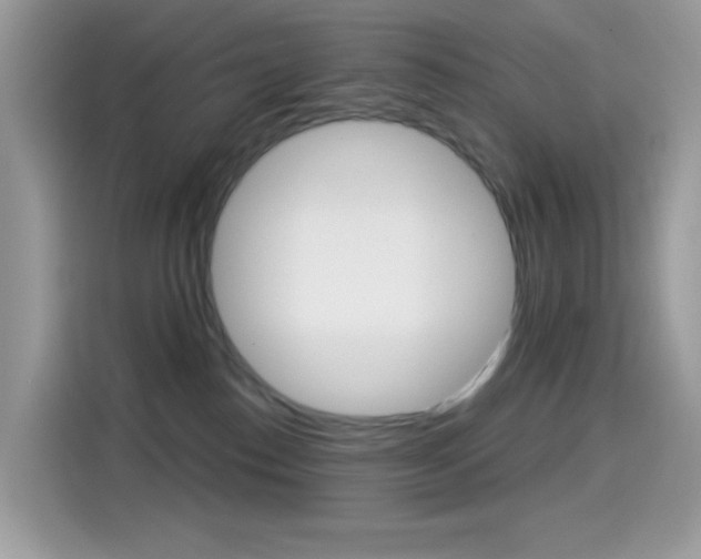 X0000114440186200910161059