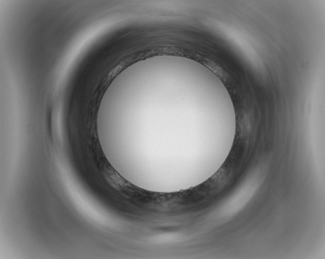 X0000114440189200910161059