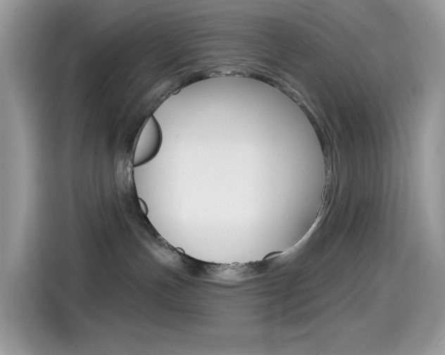 X0000114440191200910161059