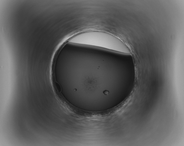 X0000114440196200910161059