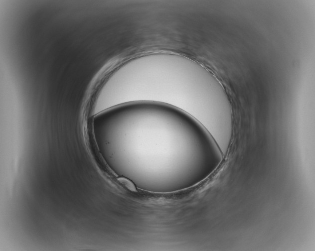 X0000114440197200910161059