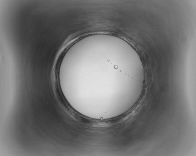 X0000114440198200910161059