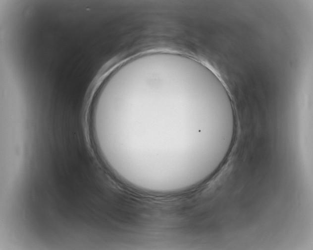 X0000114440199200910161059