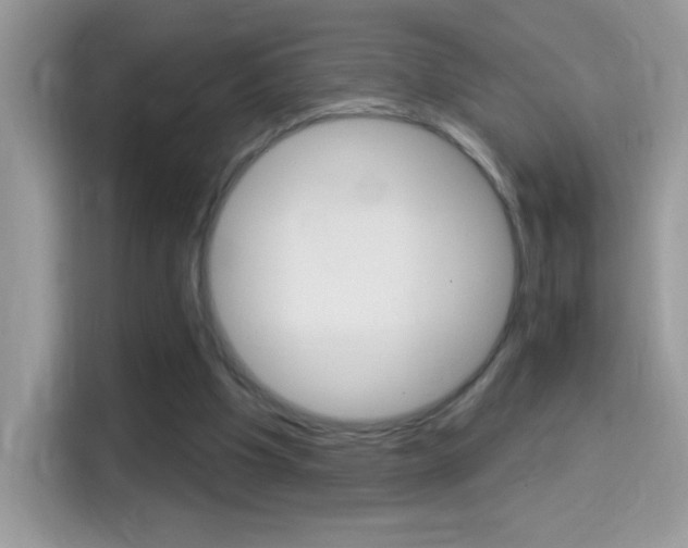 X0000114440201200910161059
