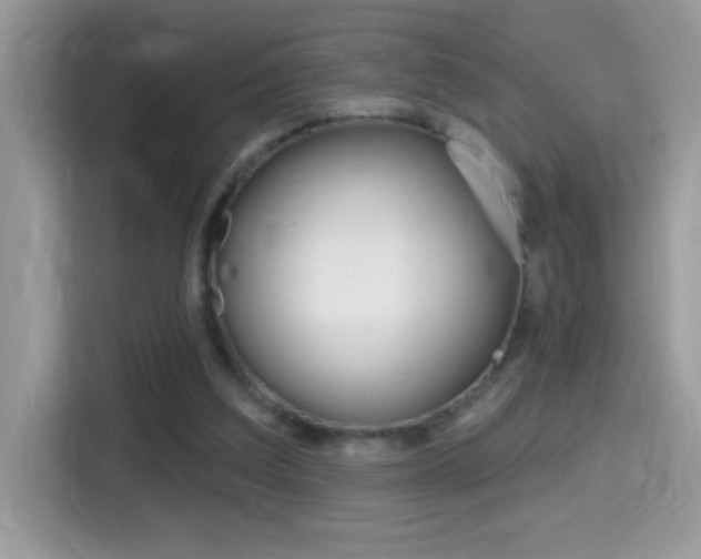 X0000114440203200910161059