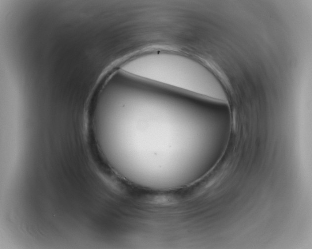 X0000114440204200910161059