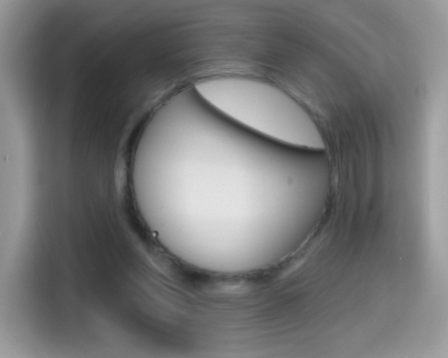 X0000114440206200910161059