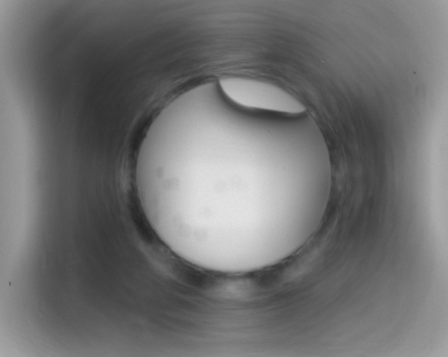 X0000114440210200910161059
