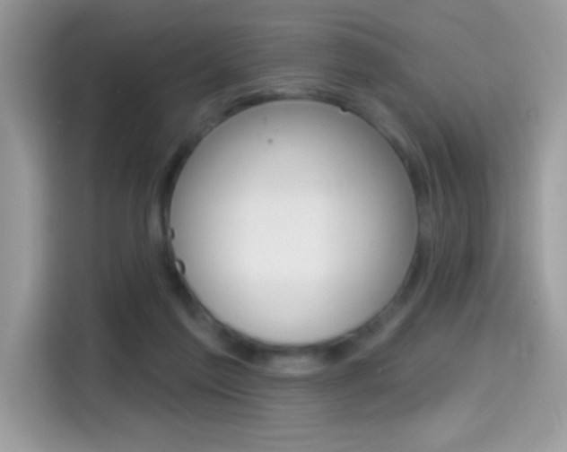 X0000114440213200910161058