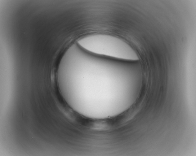 X0000114440214200910161058