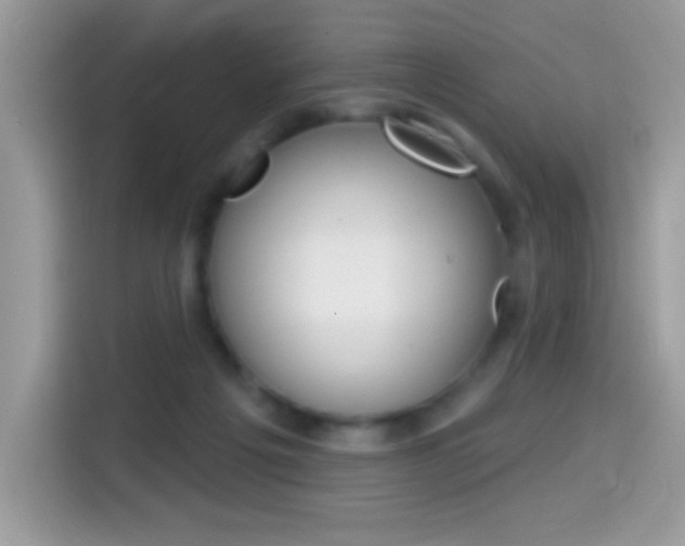 X0000114440217200910161058