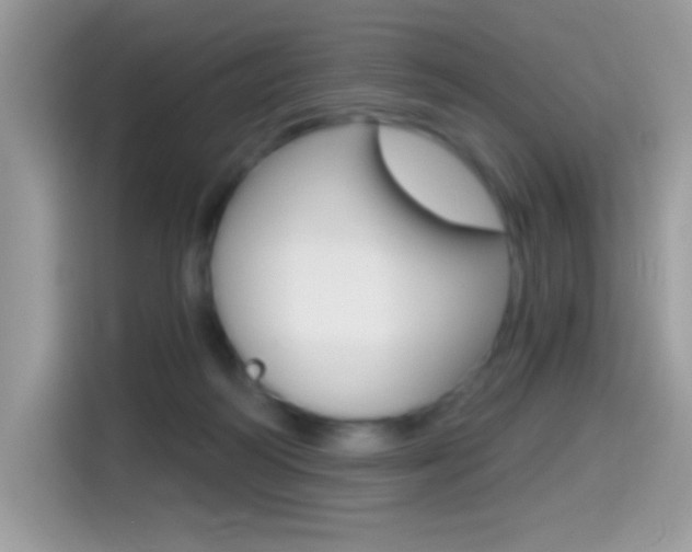 X0000114440218200910161058