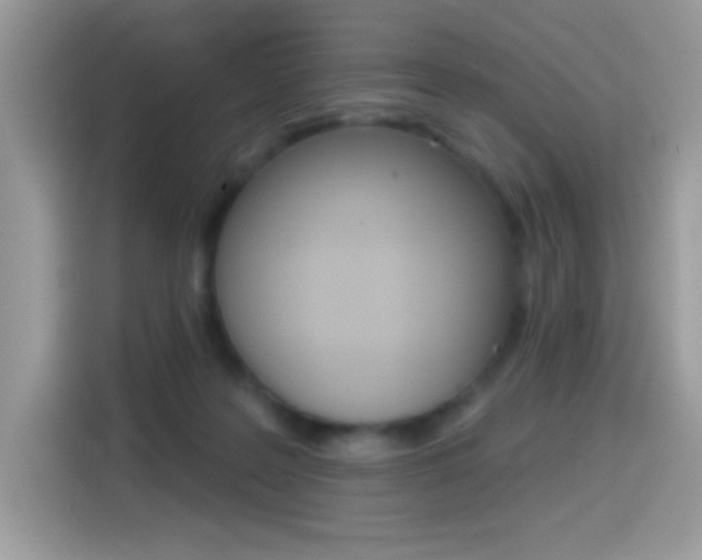 X0000114440219200910161058