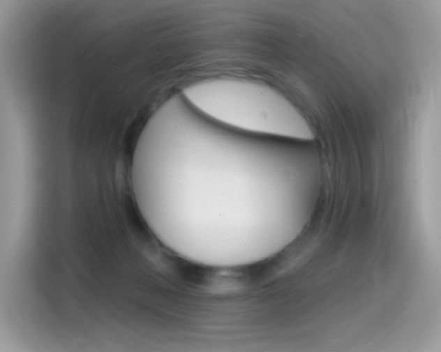 X0000114440222200910161058
