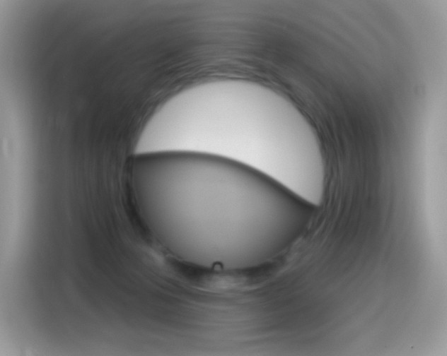 X0000114440223200910161058