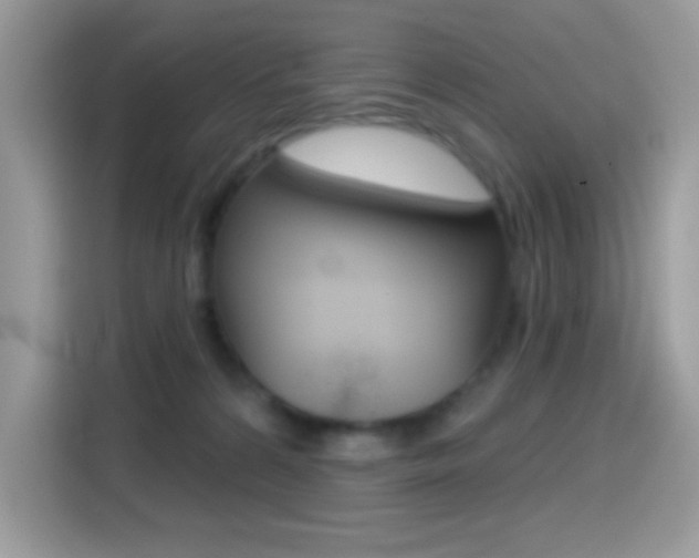 X0000114440224200910161058