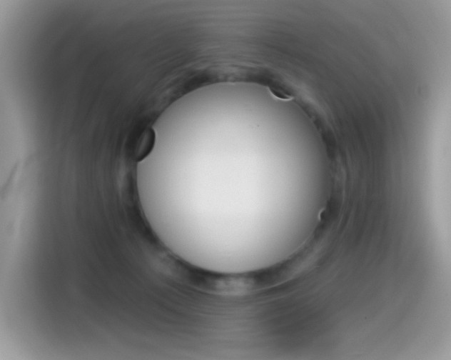 X0000114440225200910161058