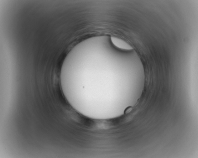 X0000114440226200910161058