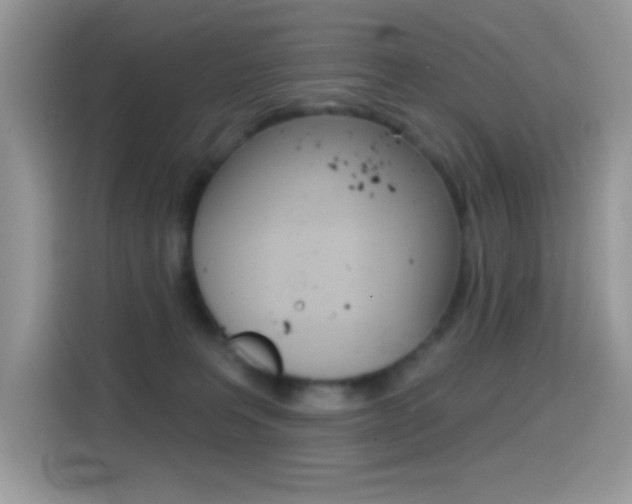 X0000114440227200910161058
