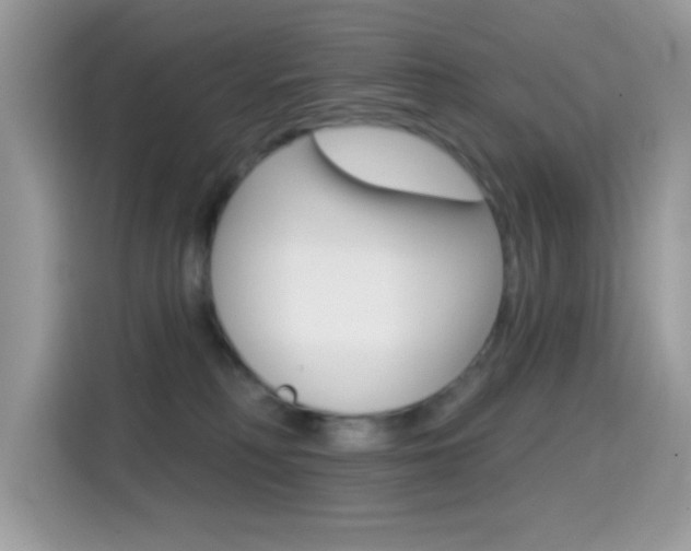 X0000114440230200910161058