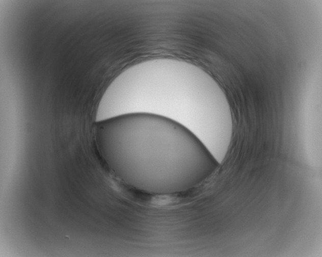 X0000114440231200910161058