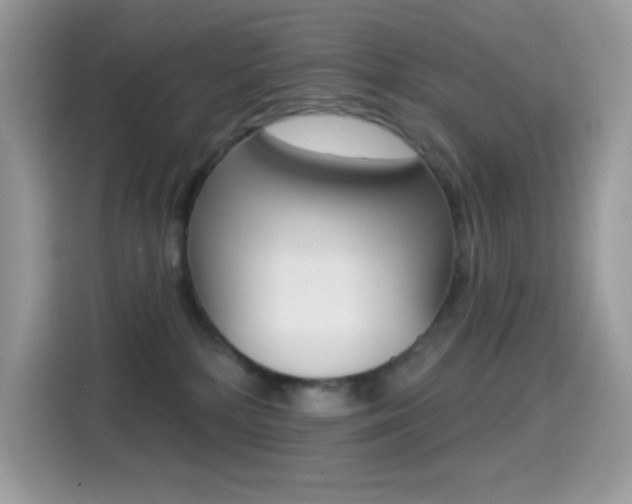 X0000114440232200910161058