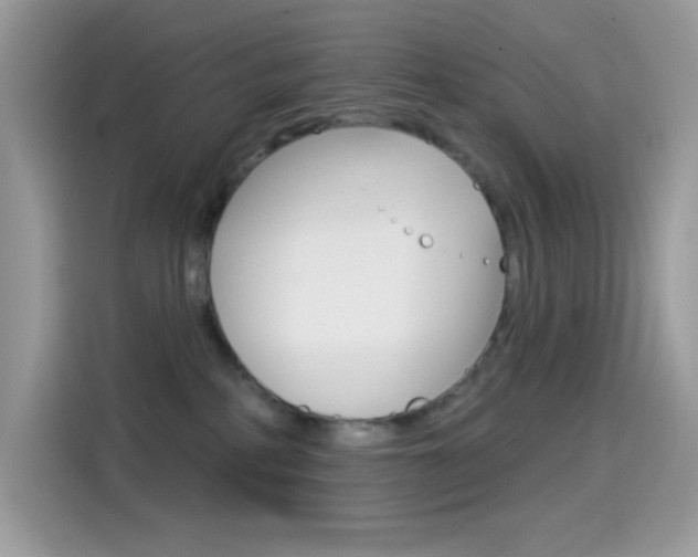 X0000114440234200910161058
