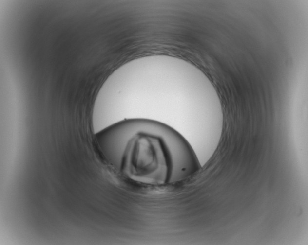 X0000114440235200910161058