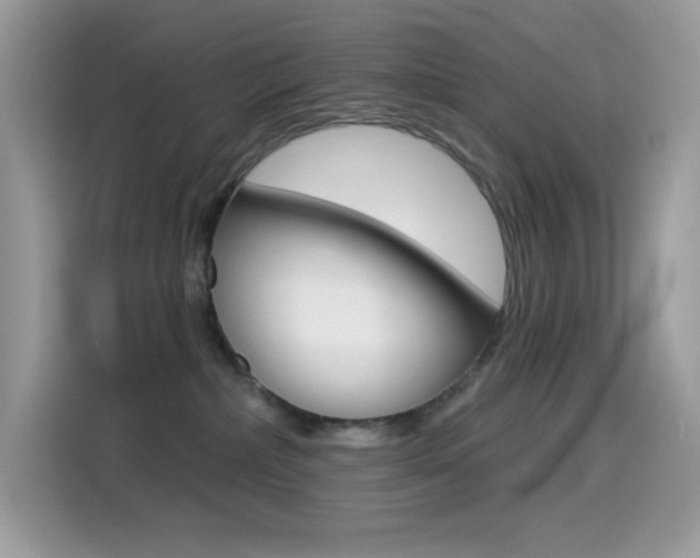 X0000114440236200910161058