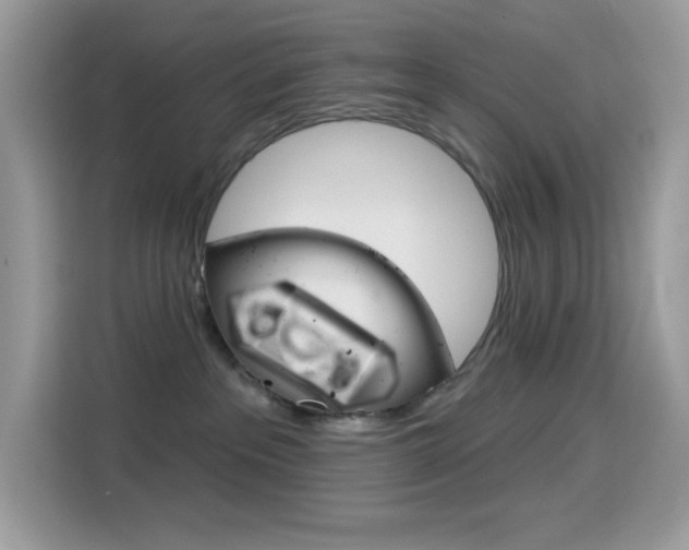 X0000114440237200910161058