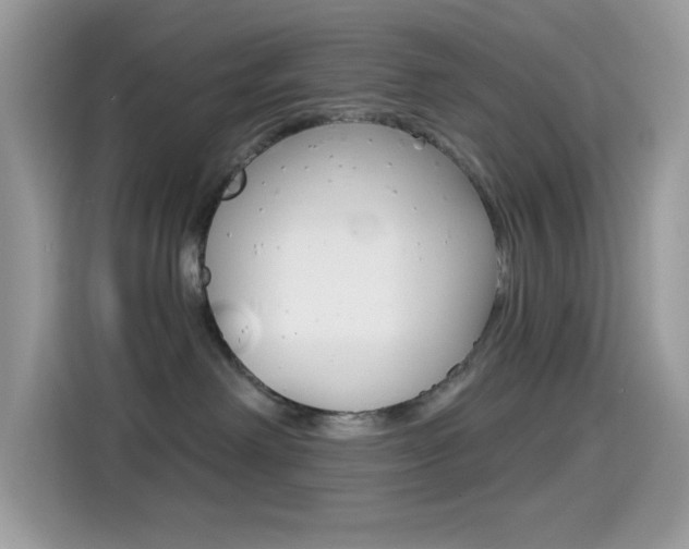 X0000114440238200910161058