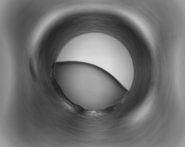X0000114440239200910161058