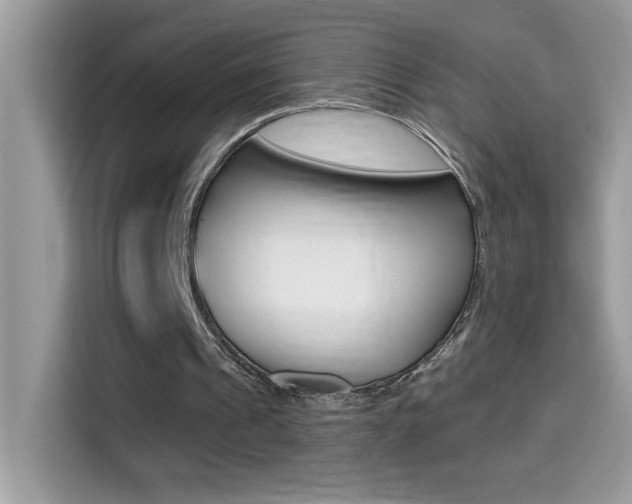 X0000114440241200910161057