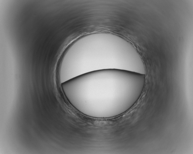 X0000114440242200910161058