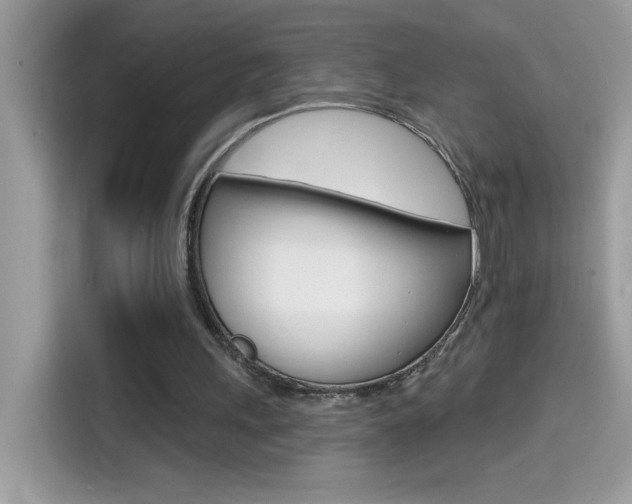 X0000114440243200910161058