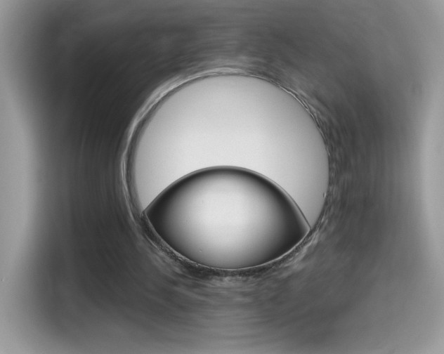 X0000114440244200910161058