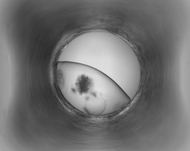 X0000114440245200910161058
