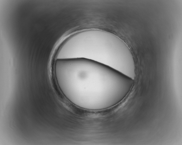 X0000114440246200910161058