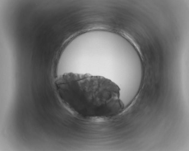 X0000114440249200910161058