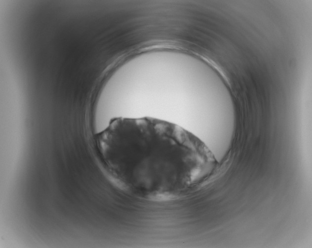 X0000114440253200910161058