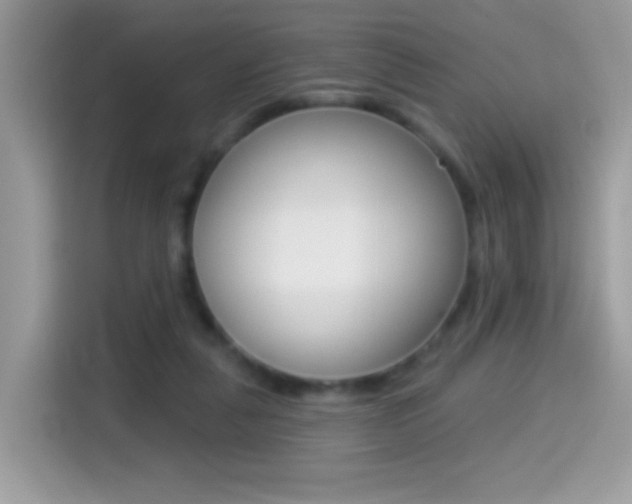 X0000114440259200910161058