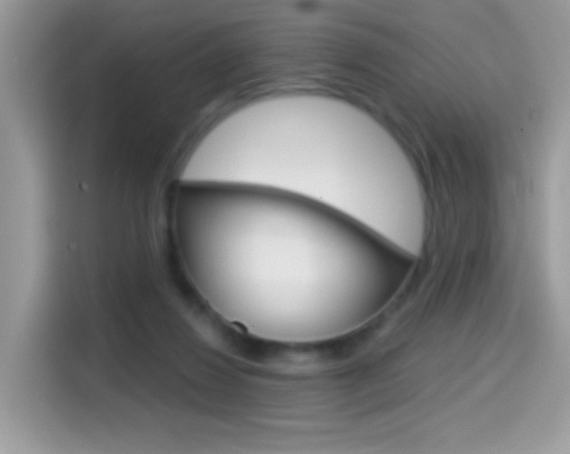 X0000114440260200910161058