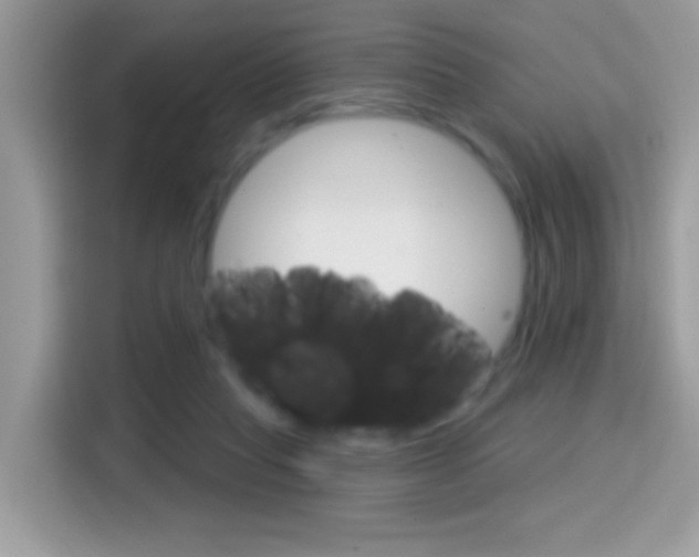 X0000114440261200910161058